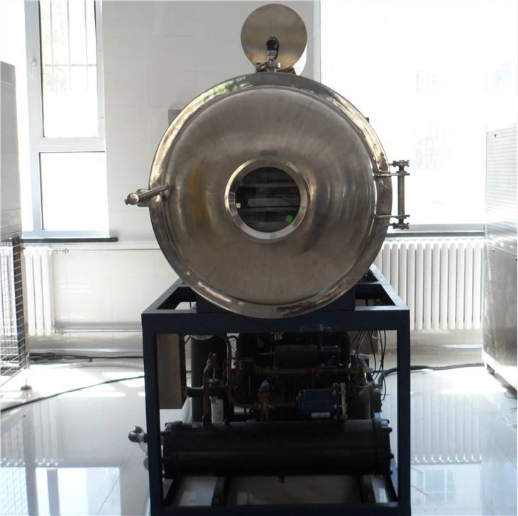Industrielle Pilot-Gefriertrocknungsmaschine