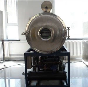 Industrielle Pilot-Gefriertrocknungsmaschine