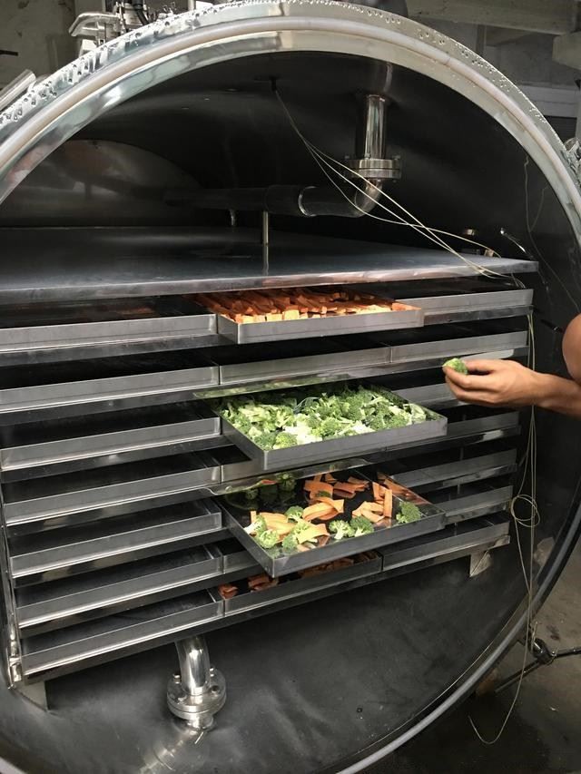 Vacuum Food Freeze Dryer in China