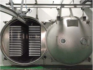 Industrieller Jackfruit-Gefriertrockner